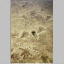 px85b-12-8 dodm2.jpg